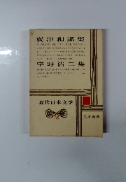 近代日本文学　28