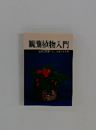 観葉植物入門