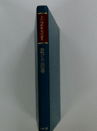 小学校教育実践選書　遊びの指導