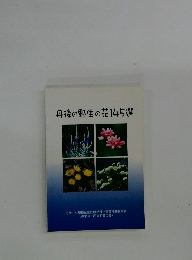 丹後の野生の花145選