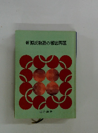 新源氏物語の徹底問題