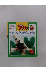 カブトムシクワガタムシずかん