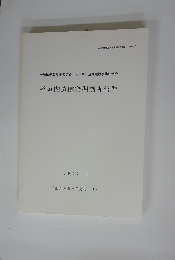 橋垣内遺跡発掘調査報告