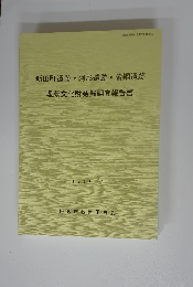 新田町遺跡・阿形遺跡・皆鍋遺跡 埋蔵文化財発掘調査報告書