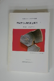 埋蔵文化財発掘調査概報　I