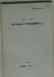 上野山狐塚4号墳発掘調査報告