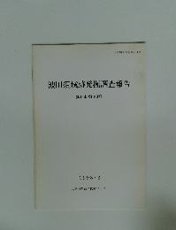 波田須城跡発掘調査報告　熊野市波田須町