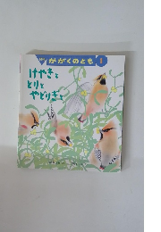 かがくのとも　1　けやきととりとやどりぎと