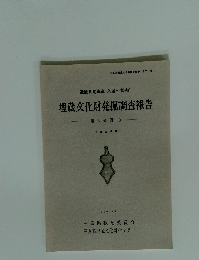 埋蔵文化財発掘調査報告 第3分冊 3