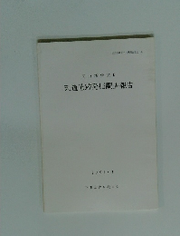 天道遺跡発掘調査報告　1989．3