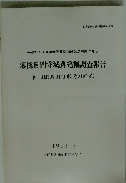 藤林長門守城跡発掘調査報告　1992年3月号