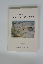 埋蔵文化財発掘調査概報VIII　1998．3