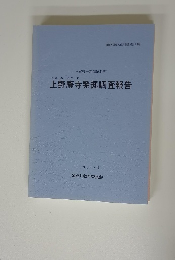 上野廃寺発掘調査報告　1995年3月号