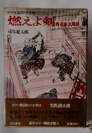カラー版国民の文学　26　燃えよ剣