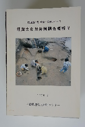 埋蔵文化財発掘調査概報 IV　1994．3