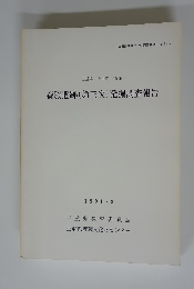 森脇遺跡 (第三次) 発掘調査報告　1991.3