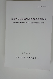 天花寺丘陵内遺跡群発掘調査報告IV