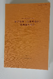 離宮院跡(法楽町地区) 発掘調査報告　２０００年３月号