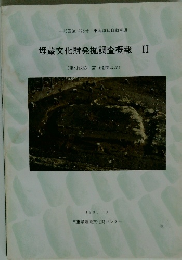 埋蔵文化財発掘調査概報II