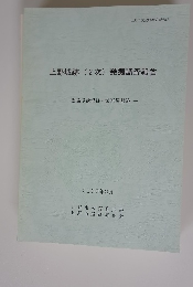 上野城跡 (2次) 発掘調査報告　2000年３月