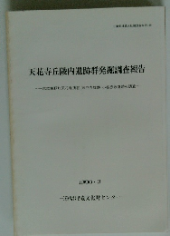 天花寺丘陵内遺跡群発掘調査報告　１９９６年３月号