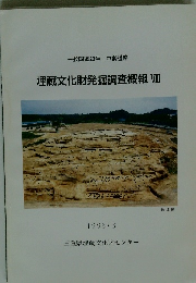 埋蔵文化財発掘調査概報VII