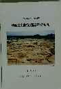 埋蔵文化財発掘調査概報VII