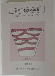 龍門寺遺跡の概要　1983年７月
