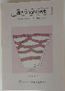 龍門寺遺跡の概要　1983年７月