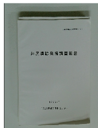 井尻遺跡発掘調査報告　1996 3