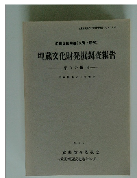 埋蔵文化財発掘調査報告　第 3 分冊 6　１９９１年３月号