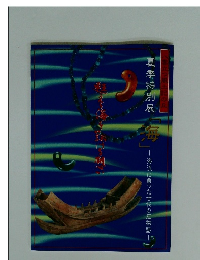 夏季特別展「海」　海流に乗った古代の恋物語