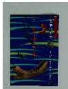 夏季特別展「海」　海流に乗った古代の恋物語