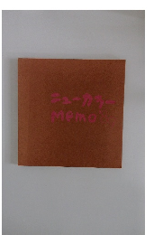 ニューカラー　Memo’89