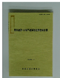 黒角遺跡・口南戸遺跡発掘調査報告書