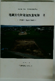 埋蔵文化財発掘調査概報3　上惣作遺跡・覚正垣内遺跡ほか