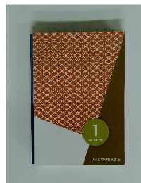 日本語教師養成講座1　社会・文化・地域