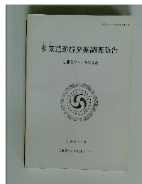 多気遺跡群発掘調査報告　1993．3