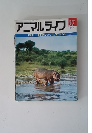 アニマルライフ 37 11/2