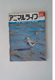 アニマルライフ No.146