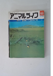 アニマルライフ　88号　10/24