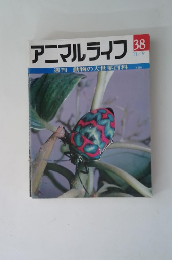 アニマルライフ 38