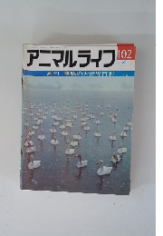 アニマルライフ　102