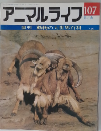アニマルライフ　107　3/6