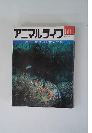 アニマルライフ　111　4/3号