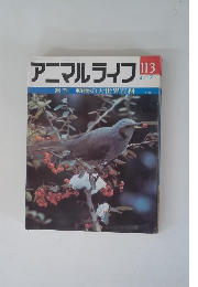 アニマルライフ　113　4/17　動物の大世界百科