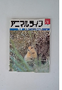 アニマルライフ　71