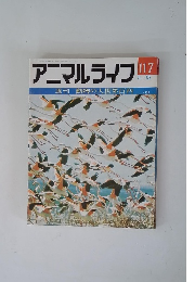 アニマルライフ　No.117　5/15