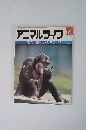 アニマルライフ　85　週刊動物の大世界百科