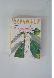月刊たくさんのふしぎ　5月号　虫こぶはひみつのかくれが?
